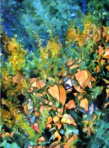 photo Exposition Dominique Coppens