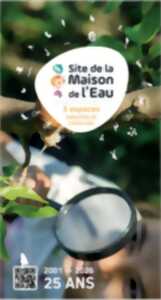 photo Exposition Alex Pasqualini