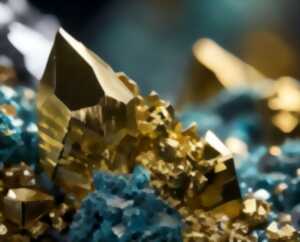 photo Salon - Les Rencontres Géologiques en Limousin