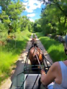 photo Challenge Kalapca Loisirs - balades en calèche