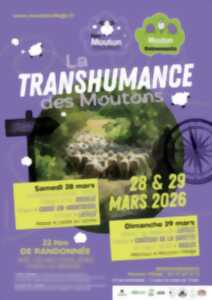 photo La transhumance de Mouton Village édition 2026