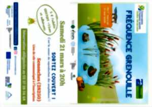 photo Fréquence Grenouille