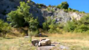 photo La fée des pelouses sèches vous invite dans son royaume