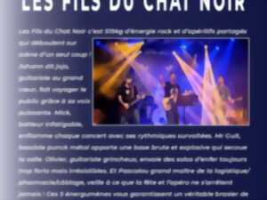 photo FESTIVAL BARS BARS