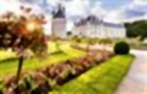 photo Visites ludiques - Architecture et coutumes : la vie à la Cour