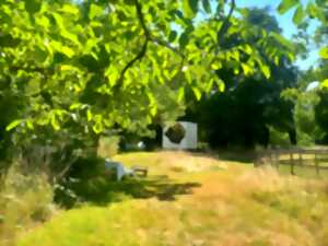 photo YOG’ART : BALADE SENSIBLE DANS LE BOCAGE