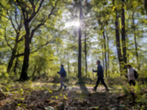 photo Randonnée pédestre et VTT