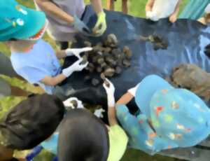 photo CROTTE ALORS !