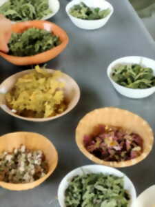 photo Atelier fabrication de tisane