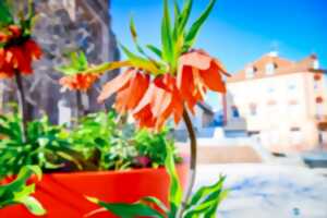 photo Chasse au trésor de printemps