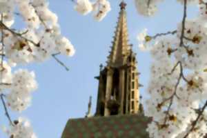photo Chasse au trésor de printemps