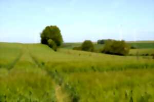 photo Entre champs et vallées