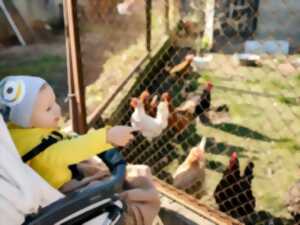photo Grande chasse aux oeufs à la mini ferme du Heydé