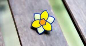 photo Un jonquille contre le cancer