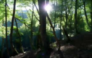 photo Randonnée accompagnée Mendi Gaiak : Rando gastronomique à Orisson