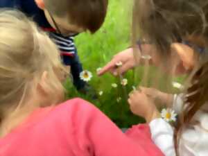 photo Chasse aux insectes au Jardin «bourdonnant»