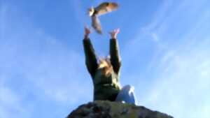 photo Cinéma Arévi : Animus Femina