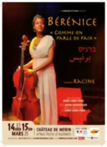 photo Théâtre au château de Morin