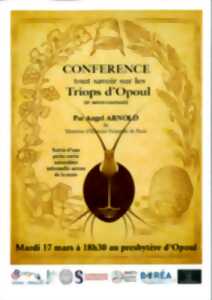 photo CONFÉRENCE TRIOPS D'OPOUL ET AUTRES CRUSTACÉS