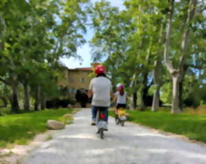 photo BALADE EN SOLEX ET DEGUSTATION DE VINS