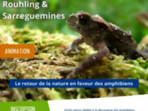 photo Sortie nature - Le retour de la nature en faveur des amphibiens
