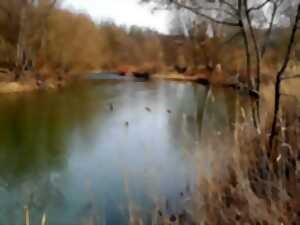 photo Conférence - La Sarre insolite