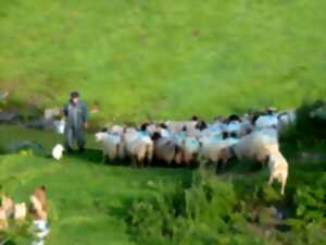 photo Randonnée acccompagnée Mendi Gaiak : rencontre avec Jean-Bernard, berger sur le mont Urkulu