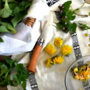 photo Atelier : cuisine de plantes sauvages