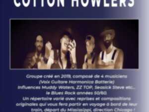 photo Concert Cotton Howlers