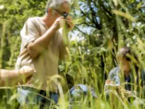 photo Cycle Tourlet : exploration des zones humides