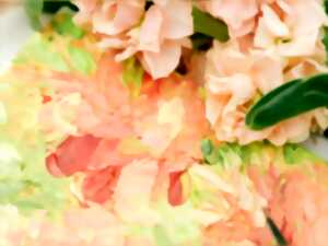 photo Nature en fête : initiation à la peinture l’huile sur toile avec Laura Szabo