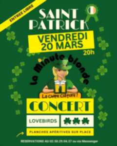 photo Saint-Patrick, concert du groupe Lovebirds