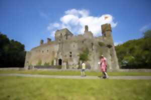 photo Pirou au Moyen-Age