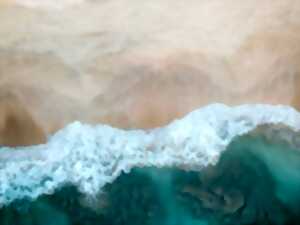 photo Nature en fête : traversée de la Sienne au crépuscule