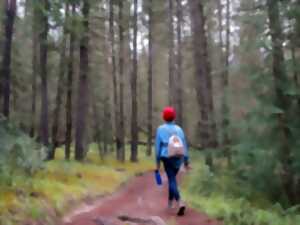 photo Randonnée pédestre