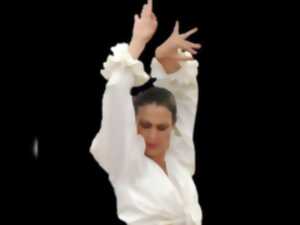 photo Initiation au flamenco
