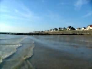 photo Balade en calèche