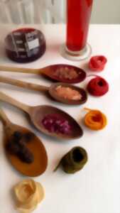 photo TEINTURE VÉGÉTALE : TON PROJET DE A À Z