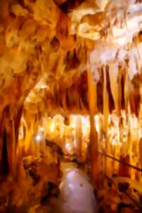 photo Enigme à la grotte de Villars : A la recherche d'Ayla la chamane