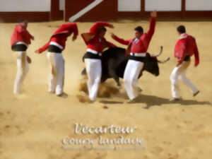 photo Estivale en Pays Morcenais, 