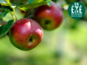 photo À la rencontre des producteurs - La pépinière Des racines pour demain