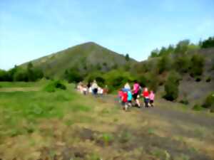 photo Les petites bêtes des terrils, spéciale pollinisateurs sauvages