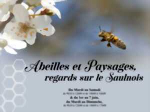 photo Exposition - Abeilles et paysages, regards sur le Saulnois