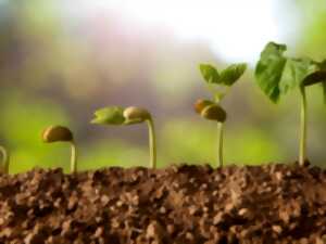 photo Atelier parents-enfants 
