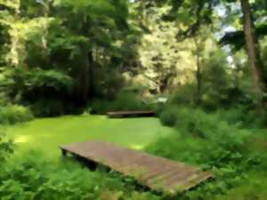 photo Sortie printanière