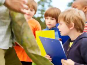 photo Chasse au trésor de printemps