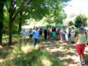 photo Balade racontée « Un coin de Périgord-Limousin en 2050 »