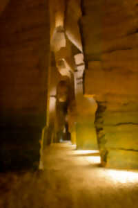 photo Les 1001 vies des troglos