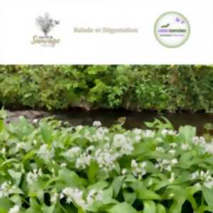 photo Balade, formation découverte et dégustation des plantes sauvages comestibles