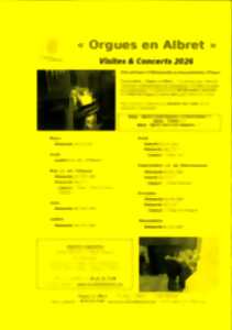 photo Orgues en Albret - Concert 